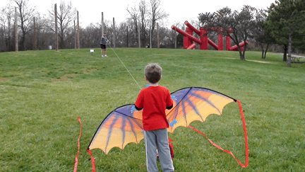 Kite at Laumeier Sculpture Park