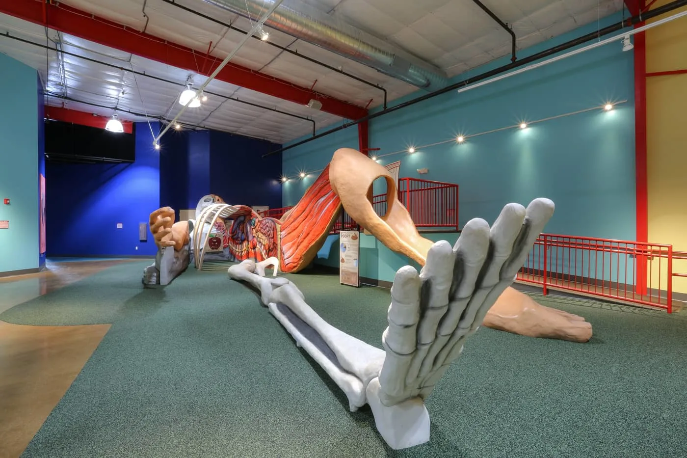 Human body play area at health works