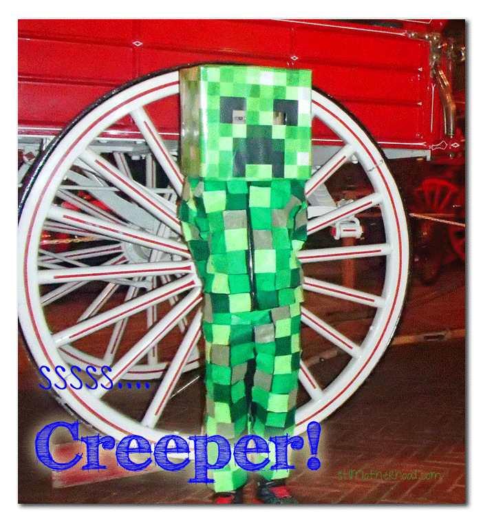 DIY Minecraft Creeper Costume by stlMotherhood