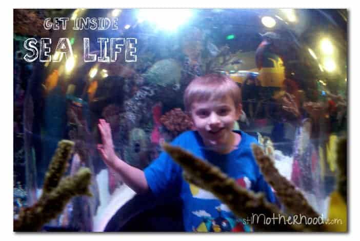 sea life kansas city