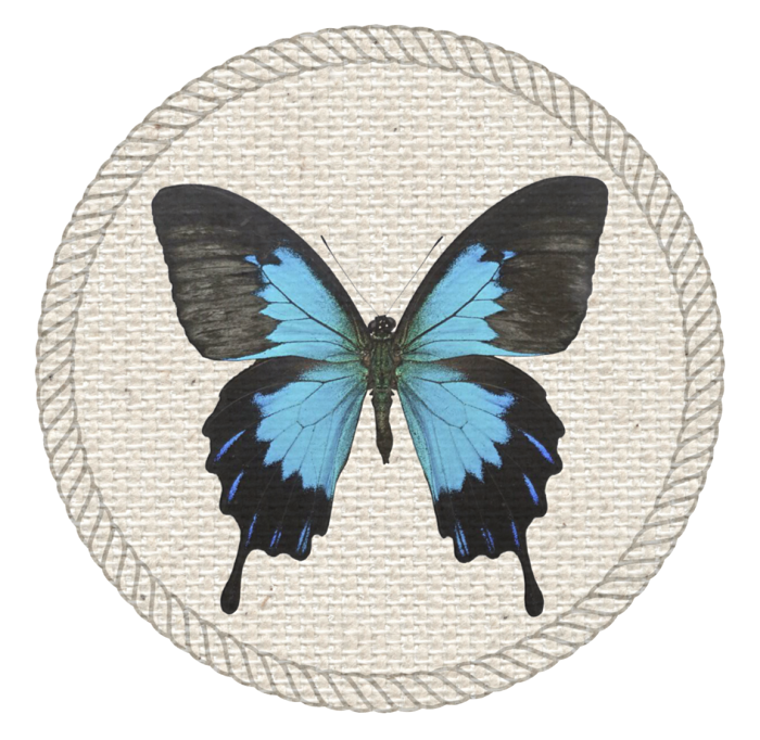 butterfly badge for scouts