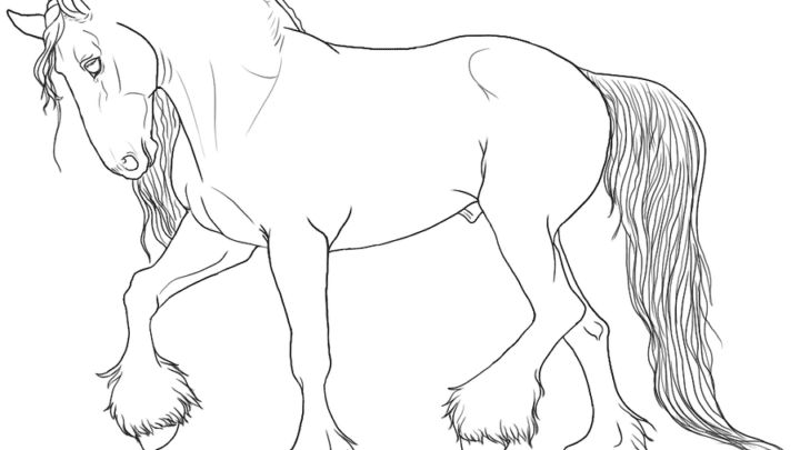 clydesdale coloring page