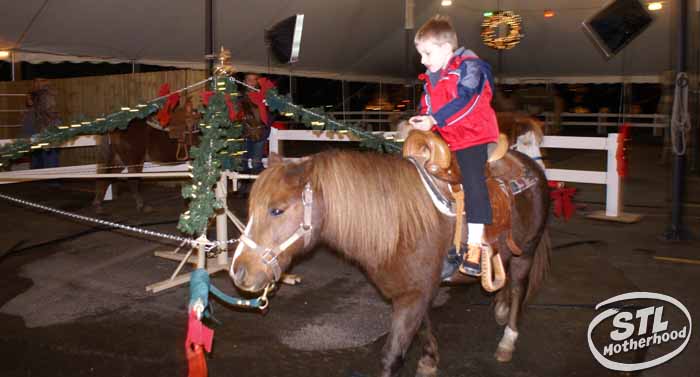 Way of Lights kid on a pony