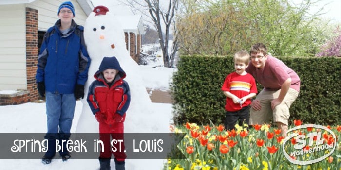 Spring break in St. Louis