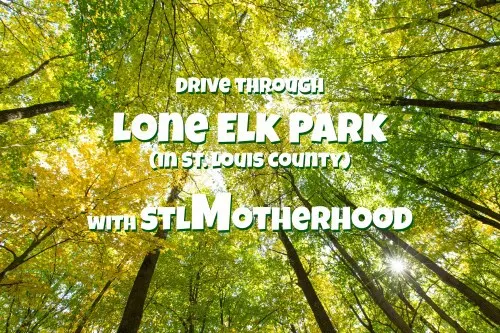 Lone Elk Park virtual tour