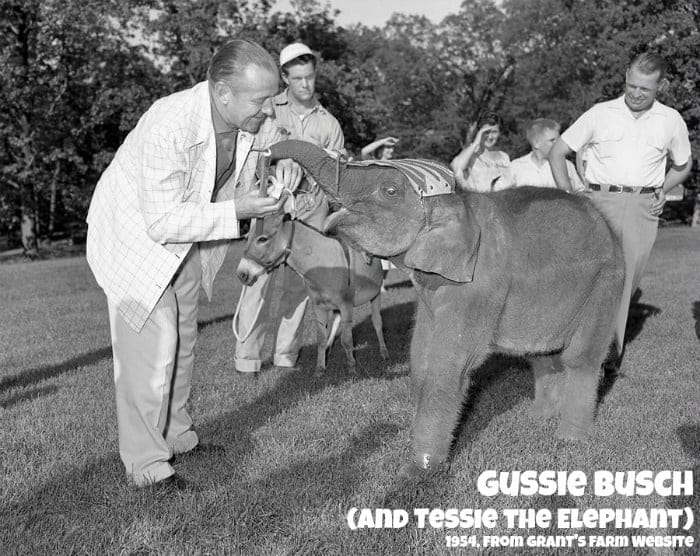 Gussie Busch at Grant's Farm