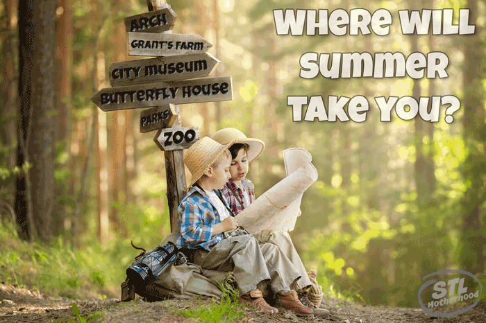 where will summer take you