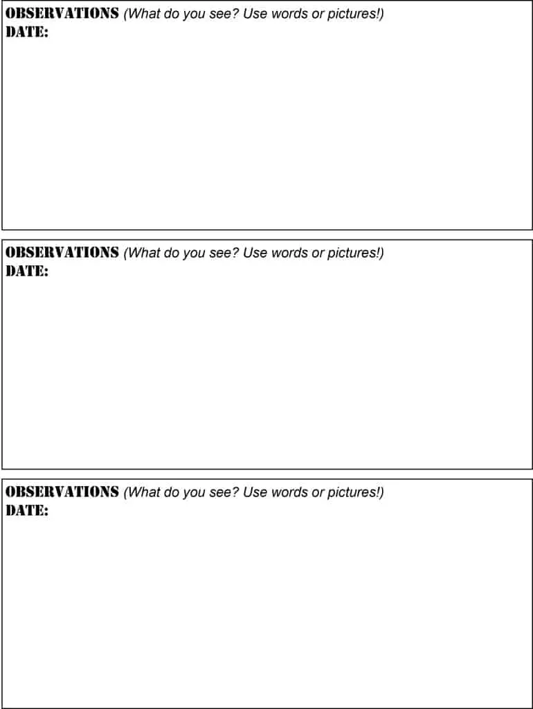 experiment observation sheets2