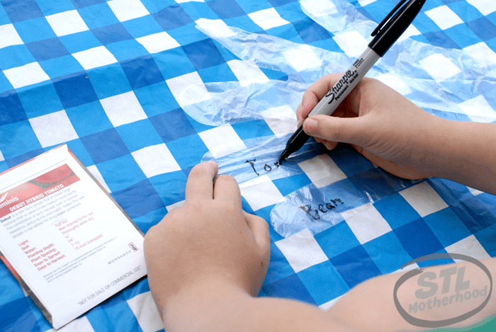 kid using sharpie marker to write on a clear glove for Garden Glove STEM experiment