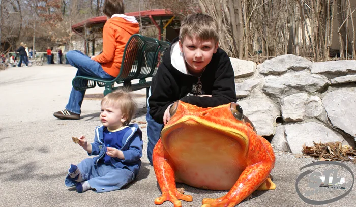 boys at the st louis zoo playing with frogs