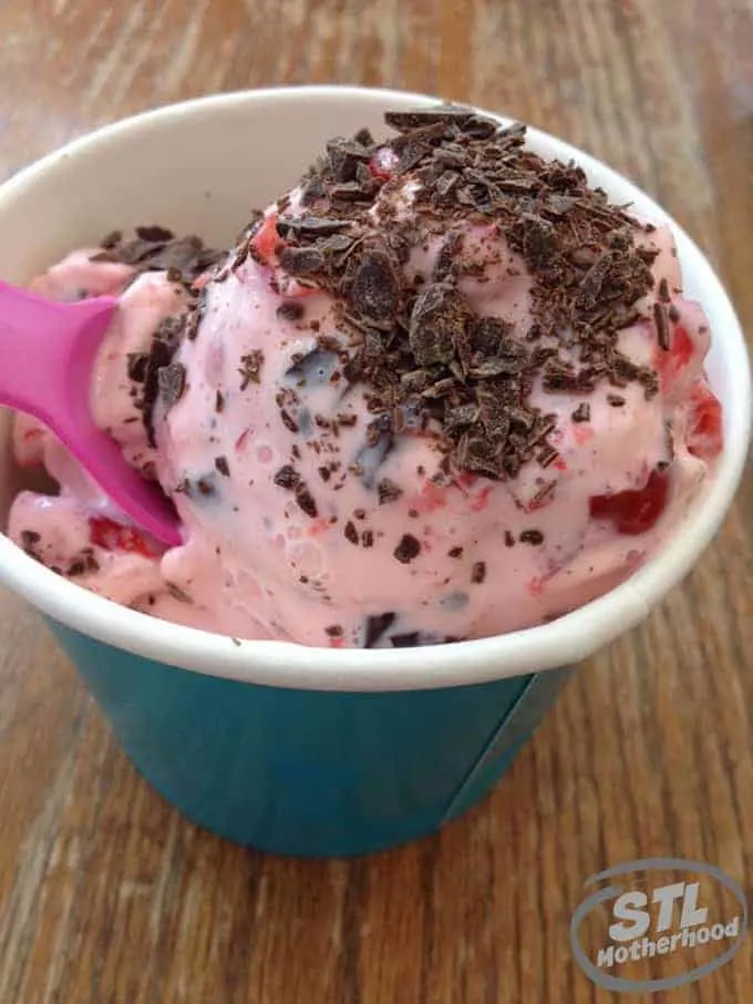 Ices Plain and Fancy cherry and chocolate ice cream