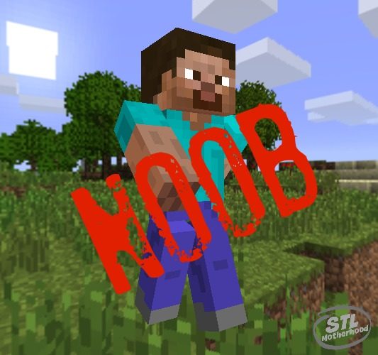 Don't be a Noob: How to Change your Minecraft Skin - stlMotherhood