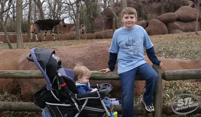 two brothers at St. Louis Zoo, one is baby in stroller other is 9