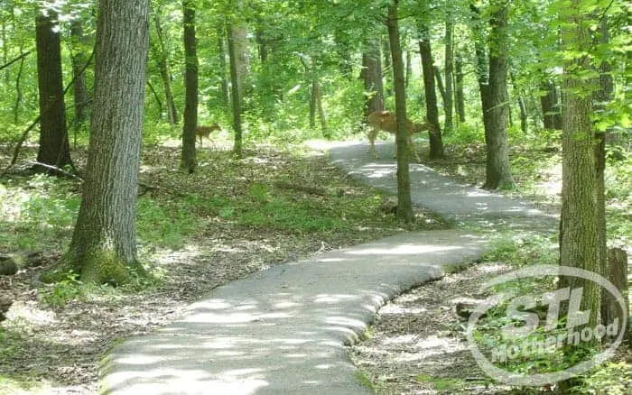 Lose the mud, not the nature at Powder Valley.