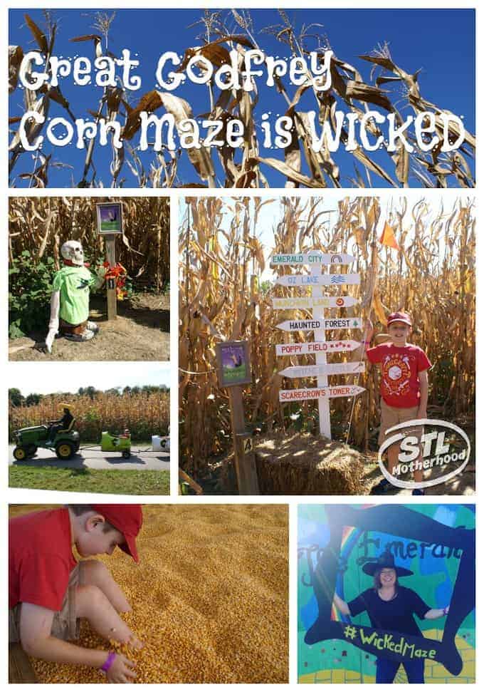 Great Godfrey Corn Maze is Wicked