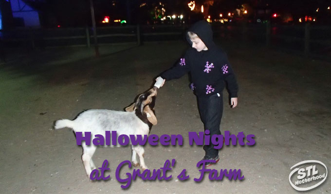 Halloween nights at Grant's Farm