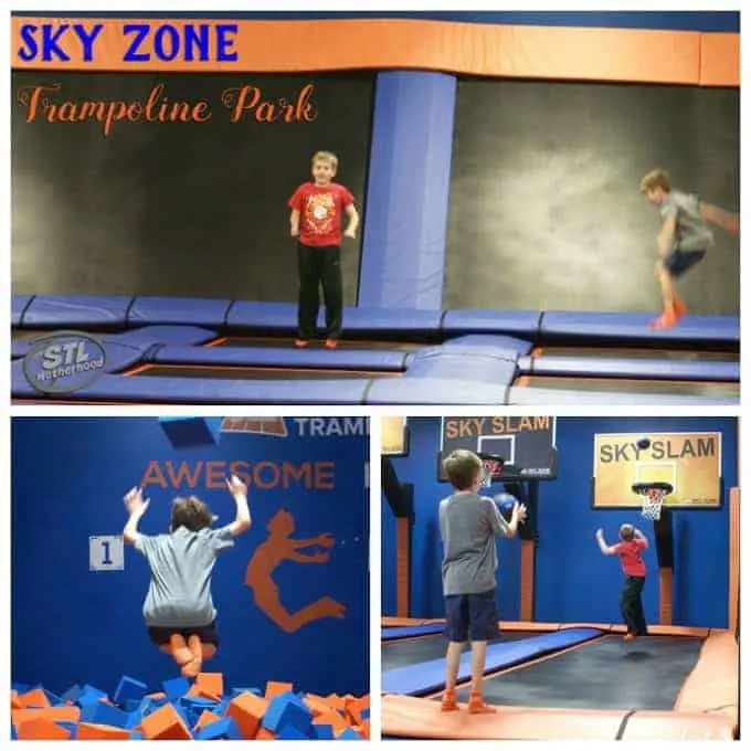 Sky Zone in Fenton