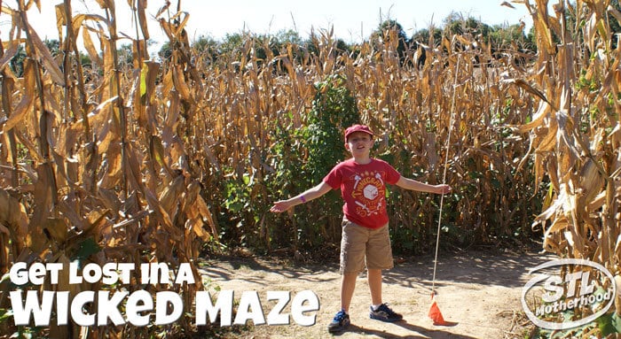 wickedmaze