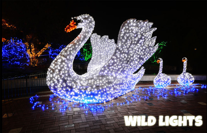 wild lights at the Saint Louis Zoo