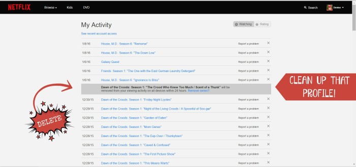 Clean up Netflix Profile