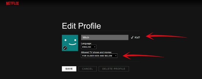 Netflix profile