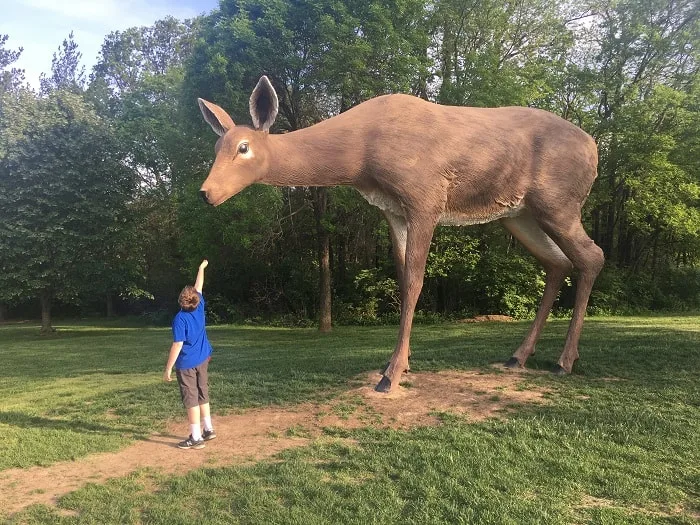 Laumeier sculpture park