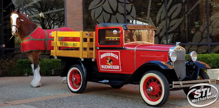 clydesdale and truck