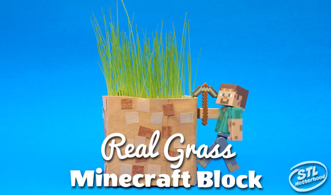 minecraft make a real grass block