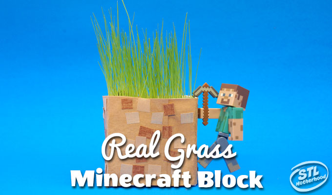 Minecraft in Real Life: DIY Grass Blocks for Spring