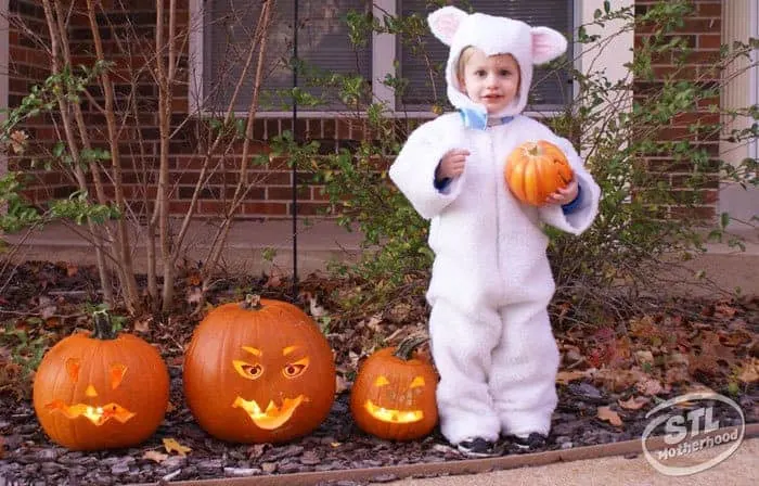 kid in halloween lamb costume