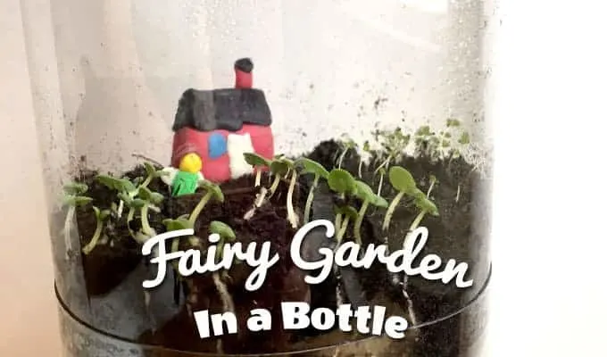 fairy garden in a soda bottle stem project