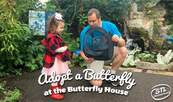 adopt a butterfly at the butterfly house