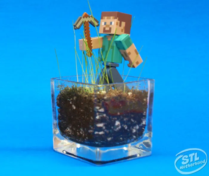 minecraft grass block glass