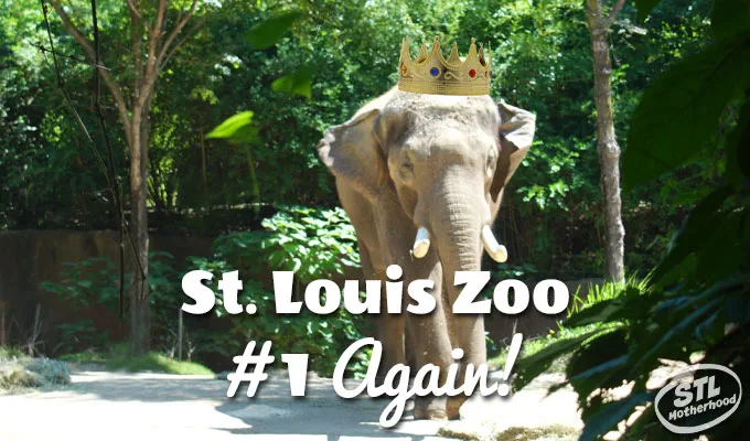 st. louis zoo best