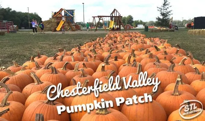 Chesterfield valley pumpkin patch