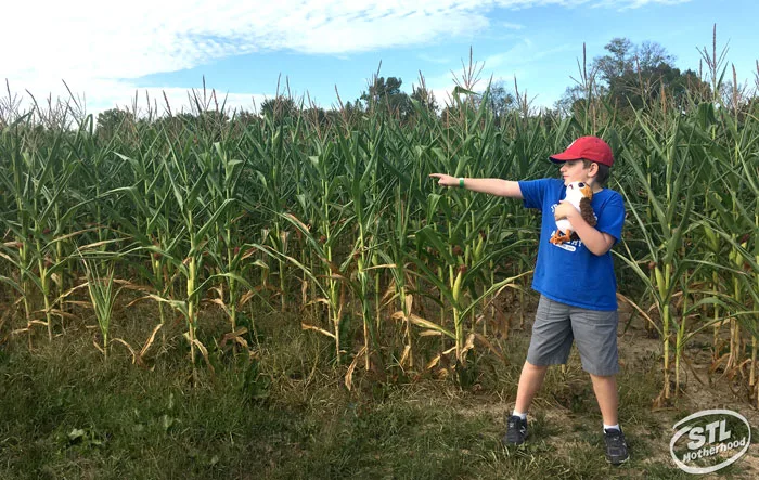 kid in a blue shirt with a stuffed animal, pointing the way out of a maze at Brookdale farm