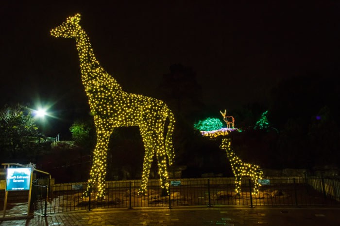 Don&#39;t miss these 11 Awesome St. Louis Christmas Lights | stlMotherhood