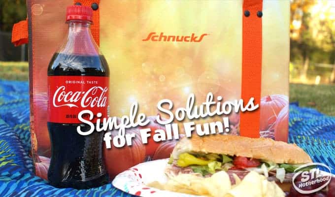 schnucks and cocacola simple solutions