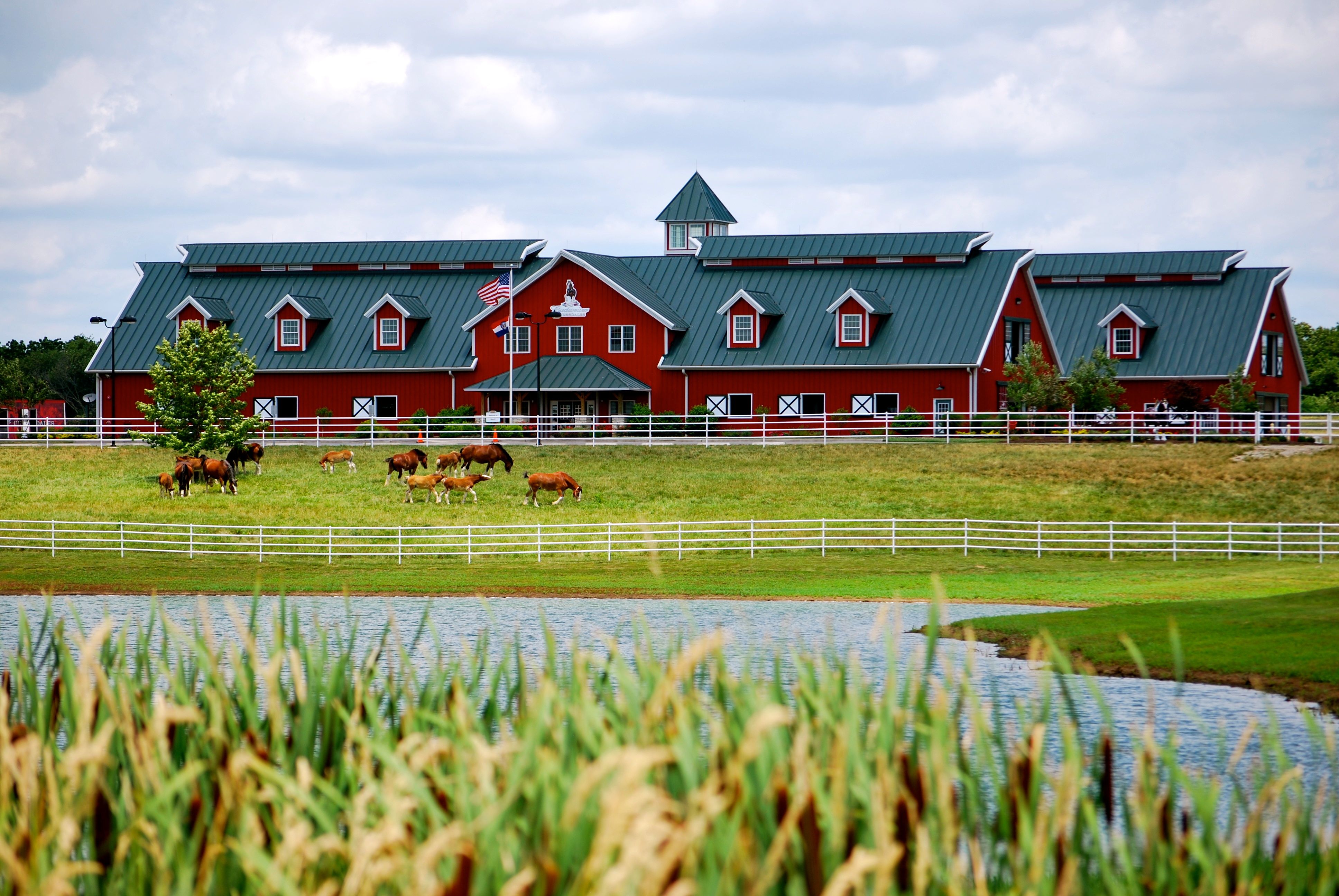 Budweiser Clydesdales barn at Warm Spring