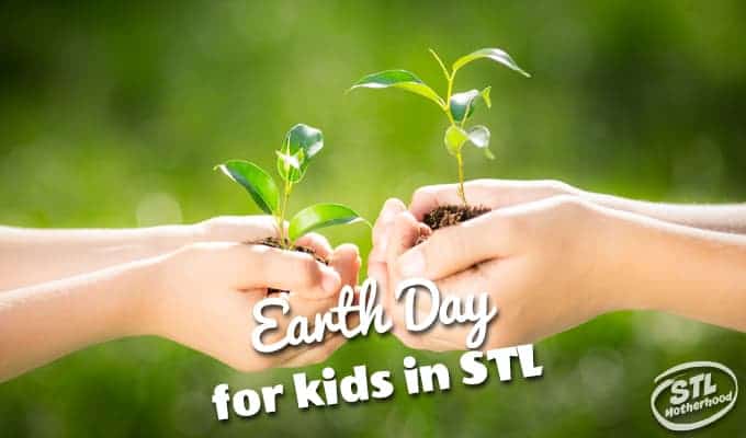 hands holding seedlings, child and adult hands