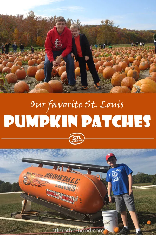 Where do you go to get the perfect Halloween pumpkin AND have some family fun? I've got a whole bunch of ideas for you!