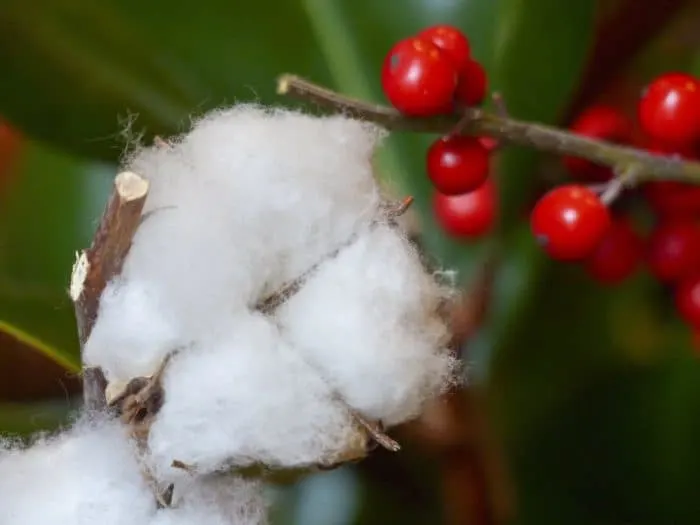 christmas cotton ball