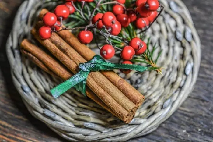 cinnamon stick with red berries and a sprig of cedar