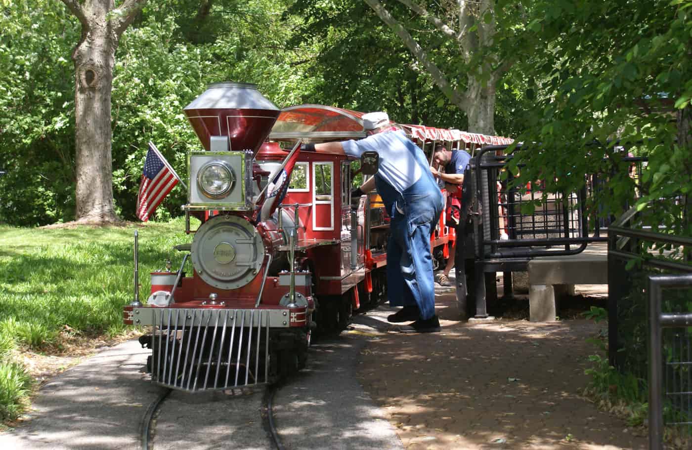 Do in the Lou: How to Visit St. Louis Zoo for Free