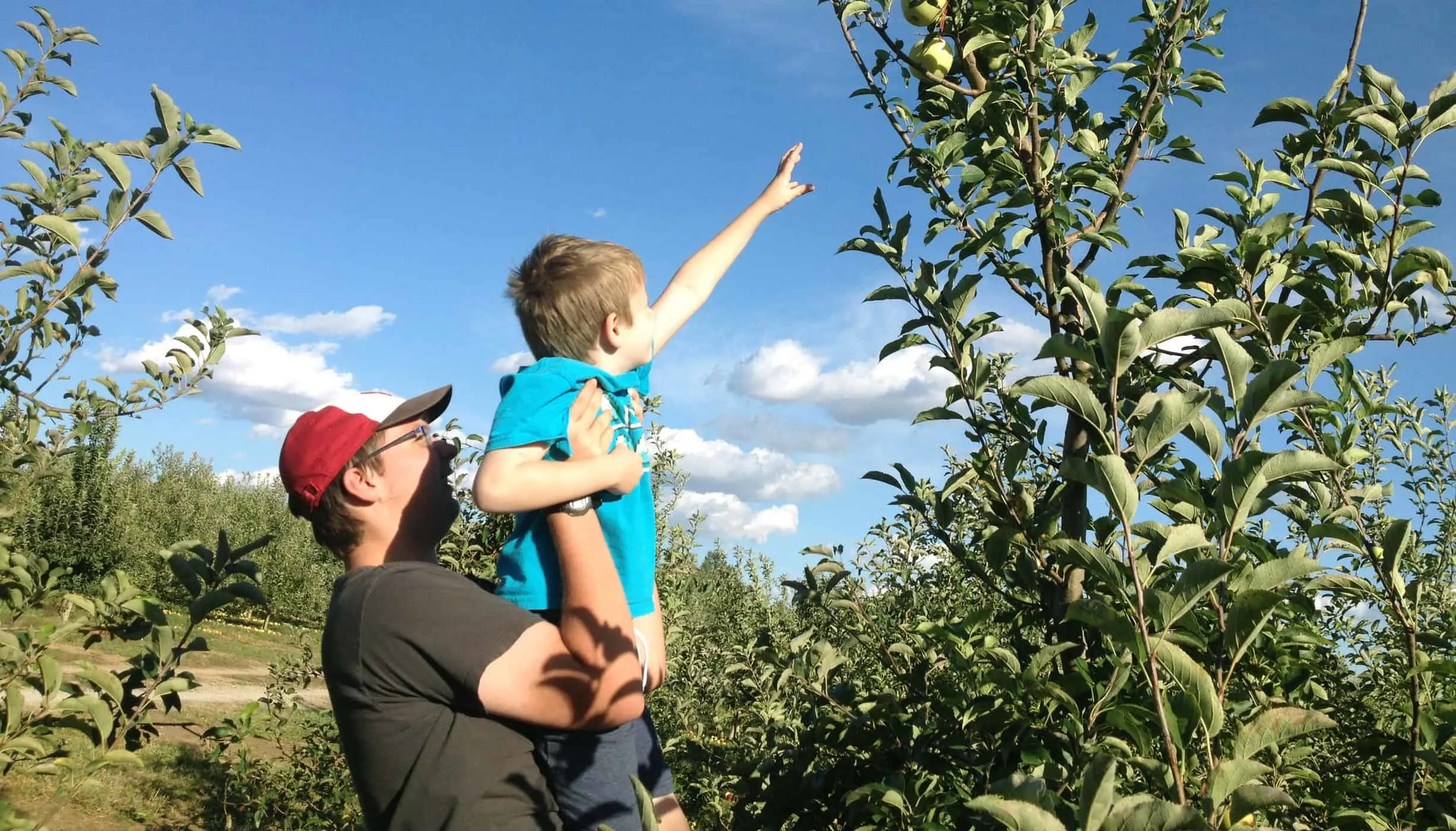 Brother's picking apples at Eckert's Farm: teen holds little brother up to reach fruit on tall branch.