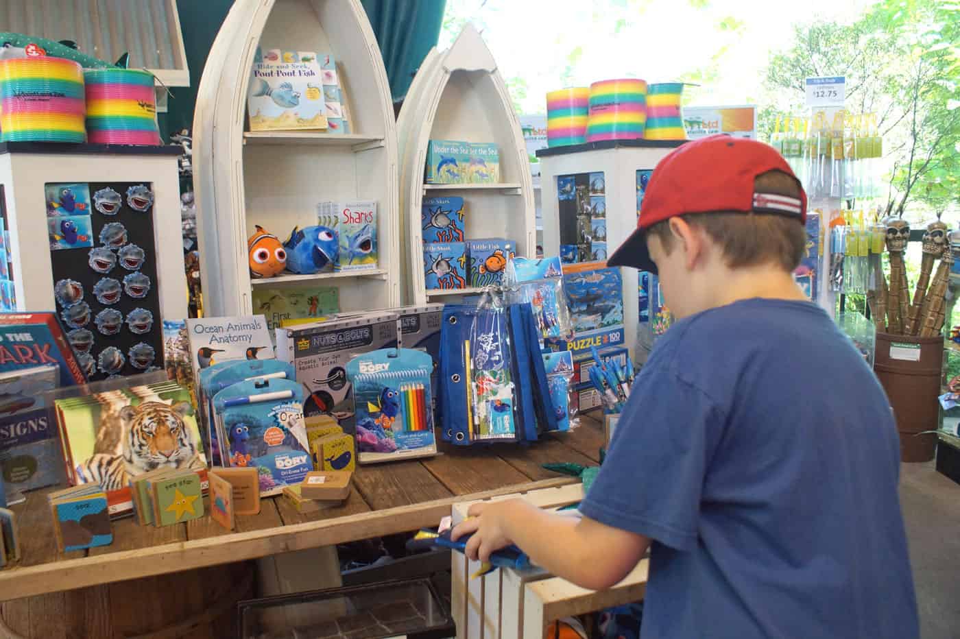 Kid shopping at a St. Louis Zoo gift shop full of fish toys.