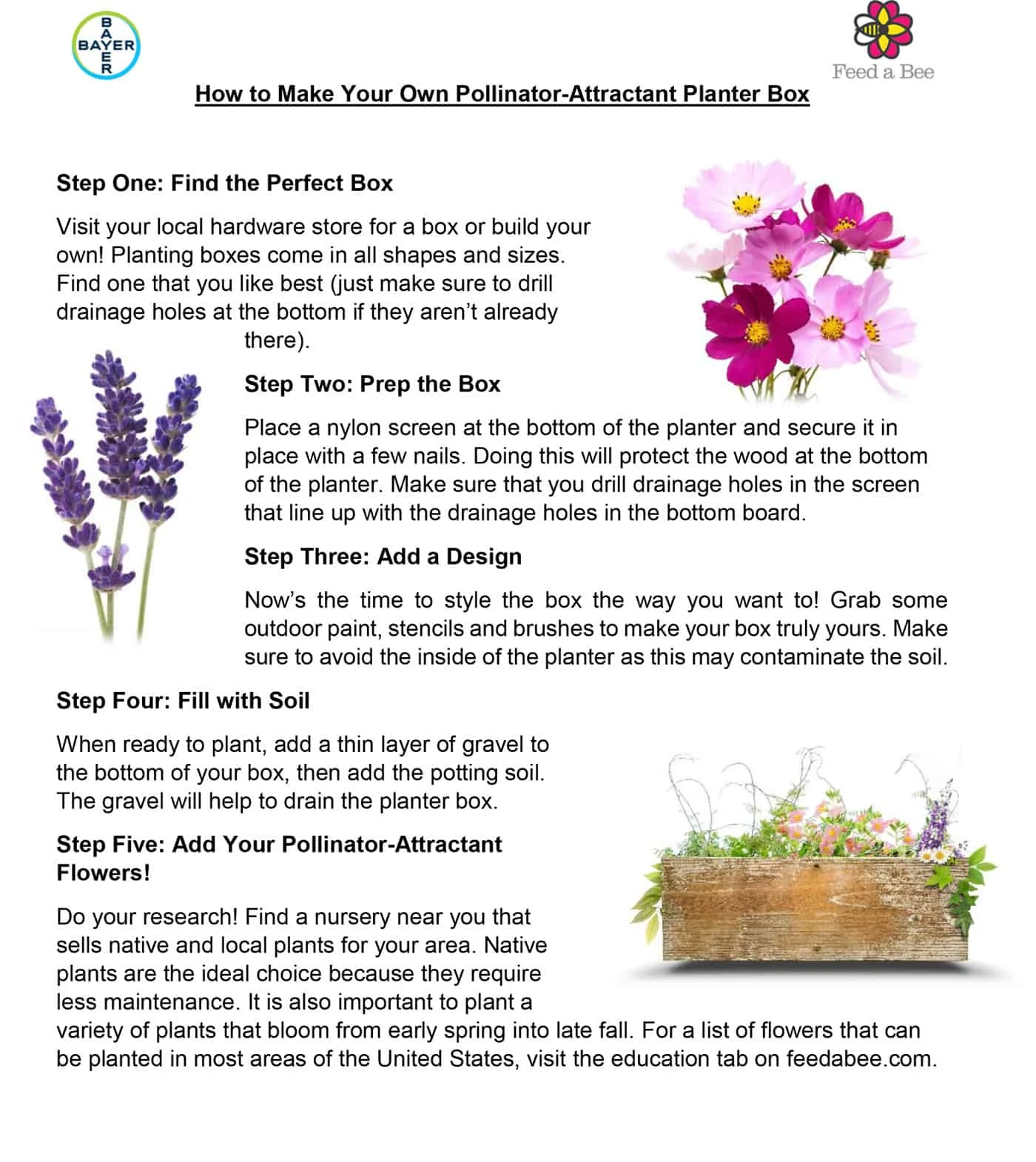 Pollinator attracting planter box directions