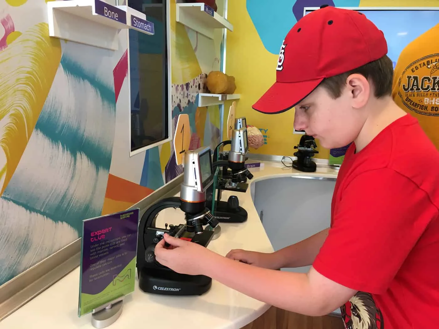 Kid experiments with a microscope during the Curiosity Cube tour in St. Louis