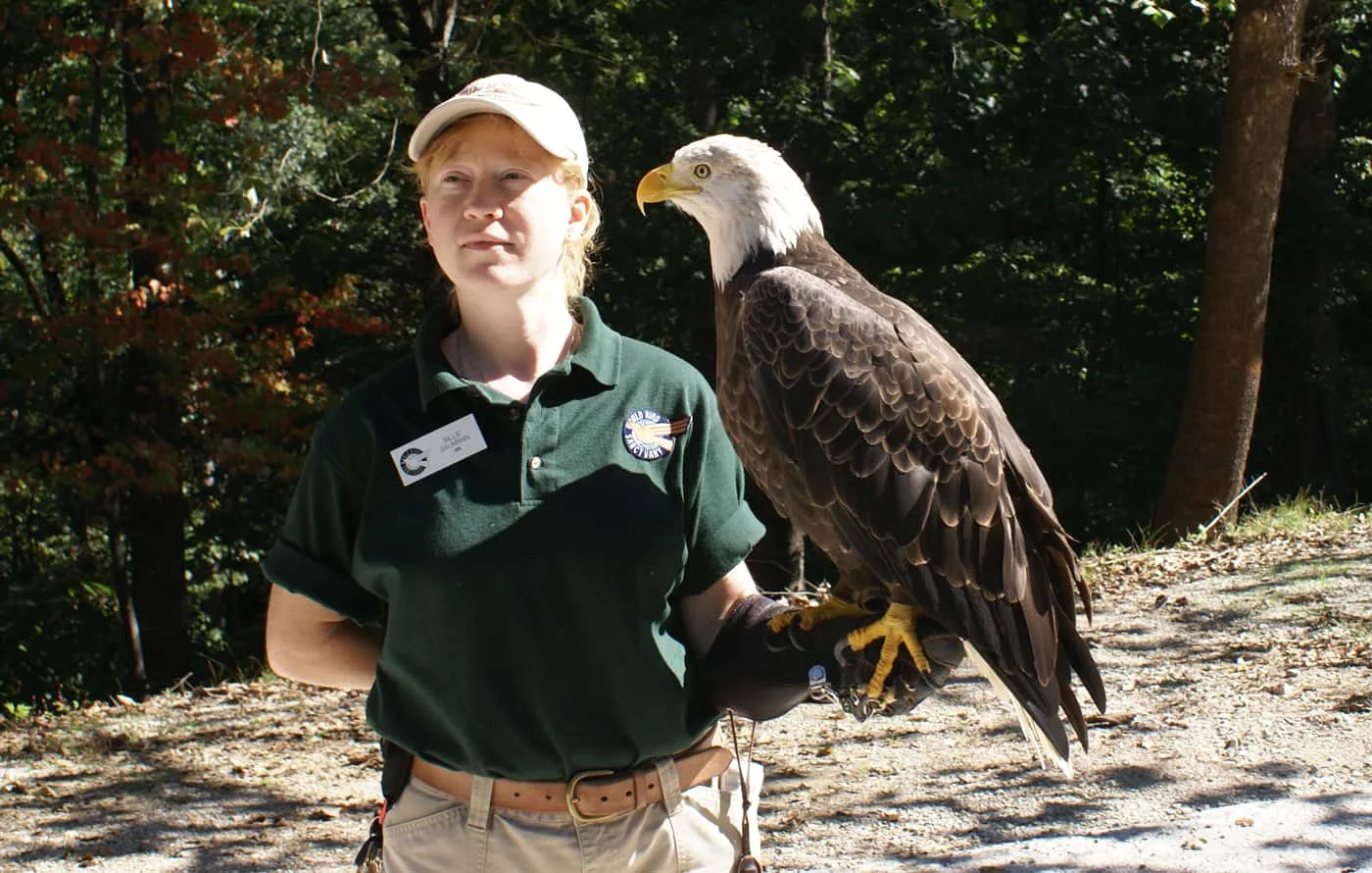 eagle handler at world bird sanctuary