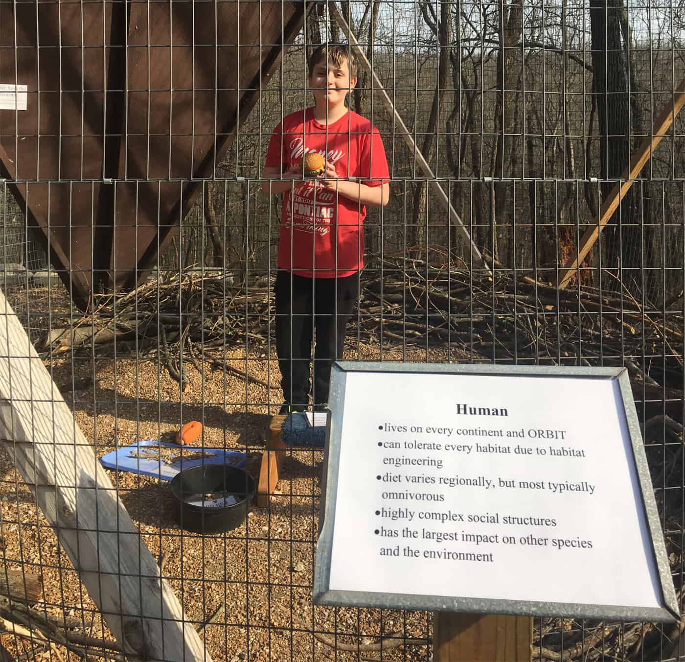 kid in the Human Display at World Bird Sanctuary